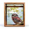 Owl Window Stickers ROLY BEE Vinyl Material Kids Room-5