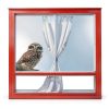Owl Window Stickers ROLY BEE Vinyl Material Kids Room-3