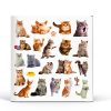Cat Window Clings for Kids by SKEPHWSKA Cartoon Stickers-1